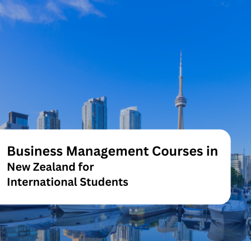 Business Management Courses in New Zealand for International Students