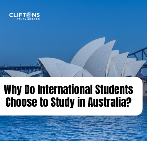 Why do international students choose to study in Australia?