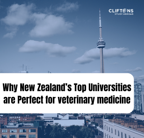 Why New Zealand’s Top Universities are Perfect for veterinary medicine